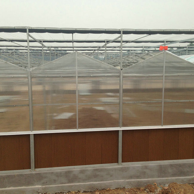 Low Cost Polycarbonate Sheet Greenhouse For Bananas Cucumber Tomatoes Lettuce