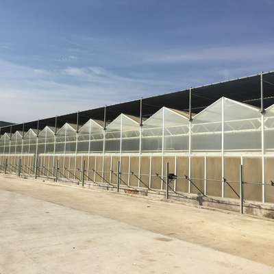 Low Cost Polycarbonate Sheet Greenhouse For Bananas Cucumber Tomatoes Lettuce