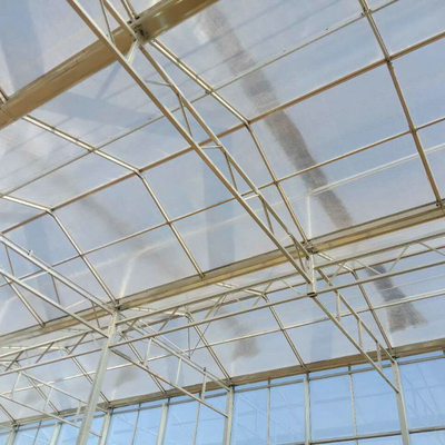 Low Cost Polycarbonate Sheet Greenhouse For Bananas Cucumber Tomatoes Lettuce