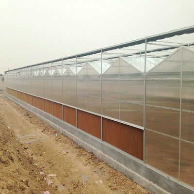 Low Cost Polycarbonate Sheet Greenhouse For Bananas Cucumber Tomatoes Lettuce