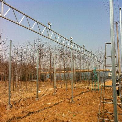 Low Cost Polycarbonate Sheet Greenhouse For Bananas Cucumber Tomatoes Lettuce
