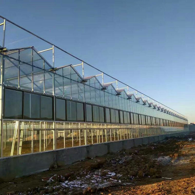 Large Prefabricated Outdoor And Indoor Backyard  Glass Greenhouse For Flower Growing