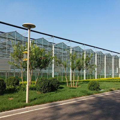 Large Prefabricated Outdoor And Indoor Backyard  Glass Greenhouse For Flower Growing