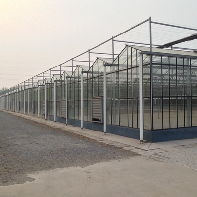 Large Prefabricated Outdoor And Indoor Backyard  Glass Greenhouse For Flower Growing