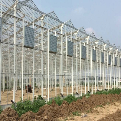 Large Prefabricated Outdoor And Indoor Backyard  Glass Greenhouse For Flower Growing