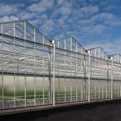 Wholesale China Supplier Large Multi Span Intelligent Horticulture Commercial Agriculture Glass Flower Greenhouse