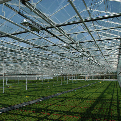 Wholesale China Supplier Large Multi Span Intelligent Horticulture Commercial Agriculture Glass Flower Greenhouse