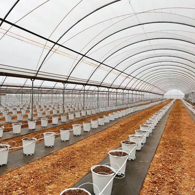 Greentime agriculture Greenhouses Suppliers  Plastic Film Rain Shelter Greenhouse Polytunnel Berry Low Cost Greenhouse