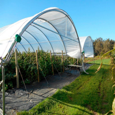 Cherry/Grape/blueberry planting shed plastic greenhouse planting high tunnel rain shelter greenhouse