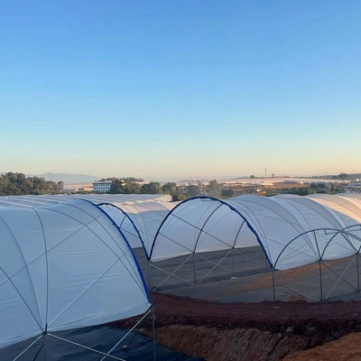 Diffused Plastic Tunnel Greenhouse 150 200 micron Berry Farm Planting Rain Shelter Green House strawberry