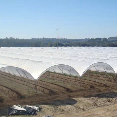 Diffused Plastic Tunnel Greenhouse 150 200 micron Berry Farm Planting Rain Shelter Green House strawberry