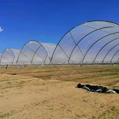 Diffused Plastic Tunnel Greenhouse 150 200 micron Berry Farm Planting Rain Shelter Green House strawberry