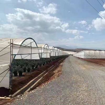 Diffused Plastic Tunnel Greenhouse 150 200 micron Berry Farm Planting Rain Shelter Green House strawberry