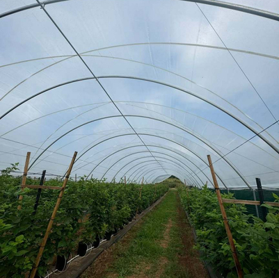 Diffused Plastic Tunnel Greenhouse 150 200 micron Berry Farm Planting Rain Shelter Green House strawberry