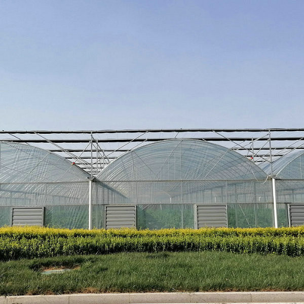 10000m2 Big Span Agriculture Multi Span Greenhouse Plastic Film Green House For Hydroponic Growing