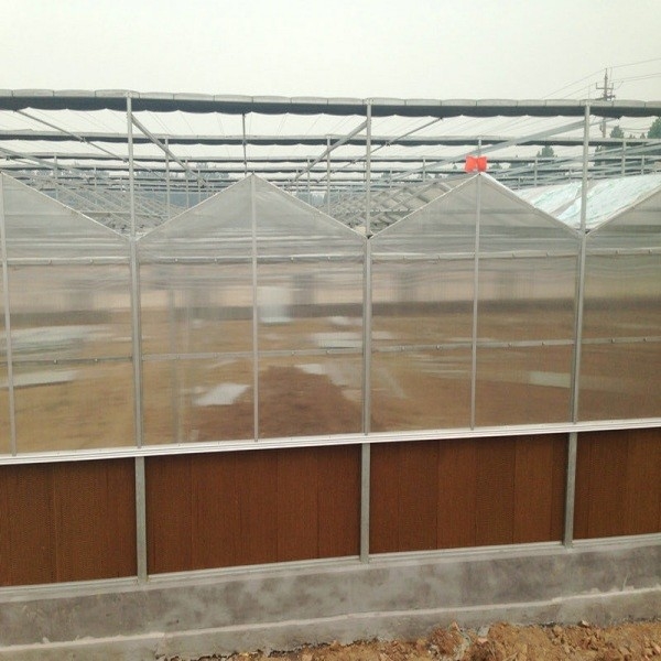 9.6m Span Venlo Pc Sheet Greenhouse Galvanized Steel Framework Green House Used For Agricuture