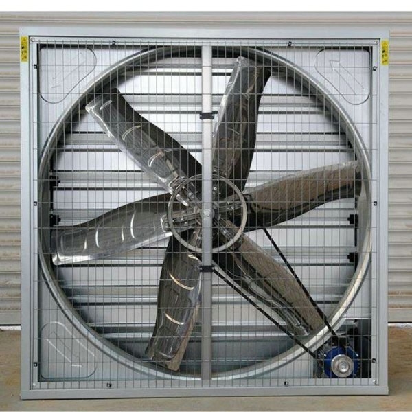 1000x1000mm Heavy Duty Exhaust Fans Agriculture Greenhouse Flower Roses 12 Inch 24 Inch