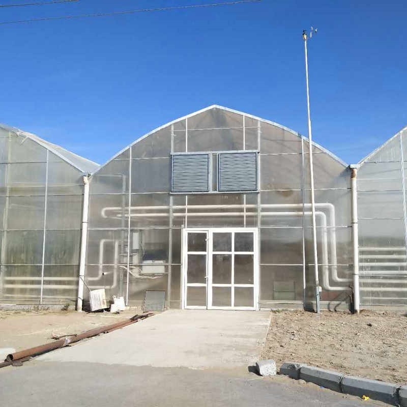 12x20 12 X 8 12 X 6  Polycarbonate Greenhouse With Cooling System And Heating System Roof Film Side