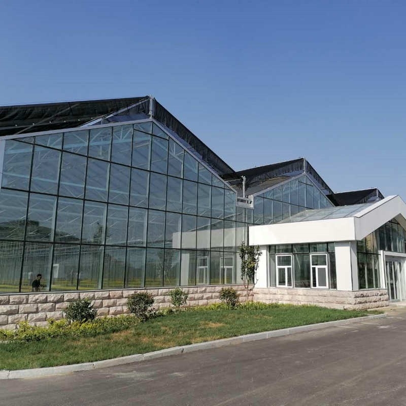 10x8 20 X 40 Big Span Venlo Multi Span Glass Greenhouse Growing Vegetable Show For Exhibition Hall