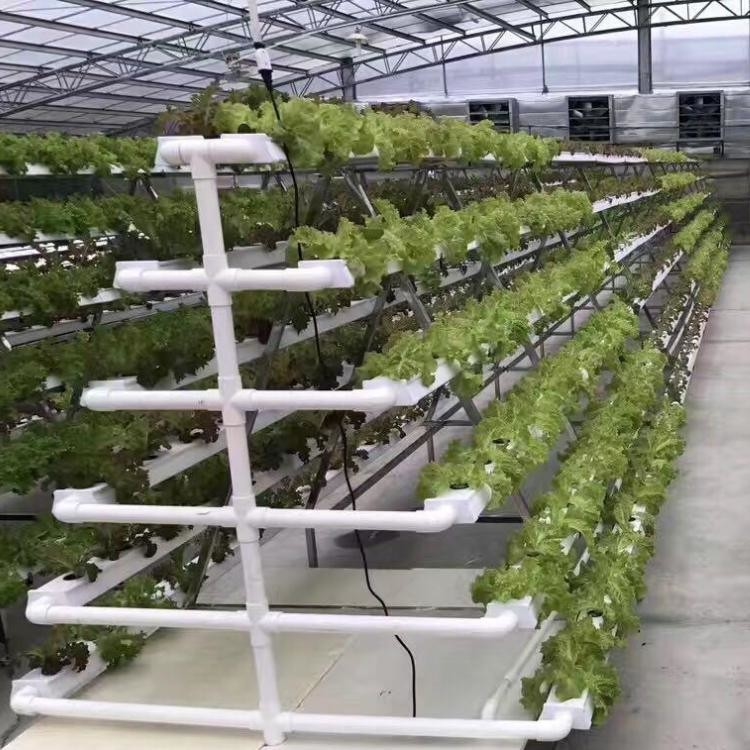 Vertical Nft Hydroponic Growing Channel Grow System For Lettuce Salad Vegetables