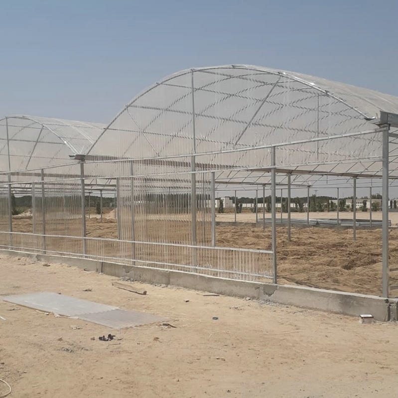 10 X 6 10 X 20 10 X 12  10' X 10 Clear Polycarbonate Greenhouse Wave Sheet Yellow Film Growing Lettuce Leaf Vegetable