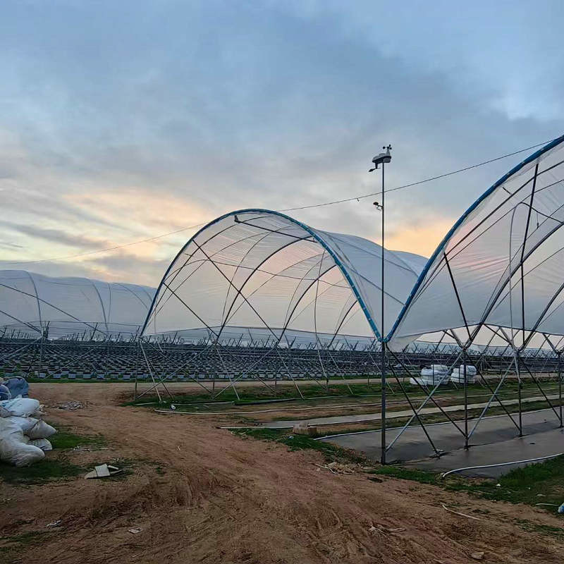 Blueberry Strawberry Growing Multi Span Tunnel Film Greenhouse Use Scatting Film For Planting