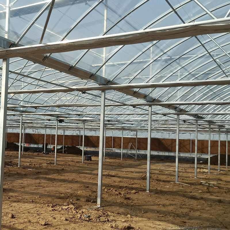 Hot Sale Hydroponic Multi-Span film Greenhouse For Rose/Strawberry/Tomato/Cucumber