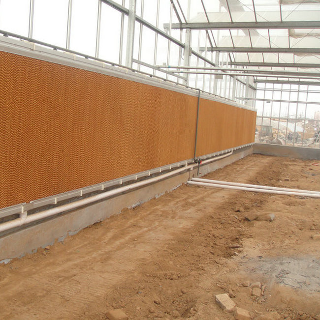 Modern venlo hot dip galvanized steel pipe polycarbonate greenhouse structure Multi-Span Commercial pc sheet green house cooling system
