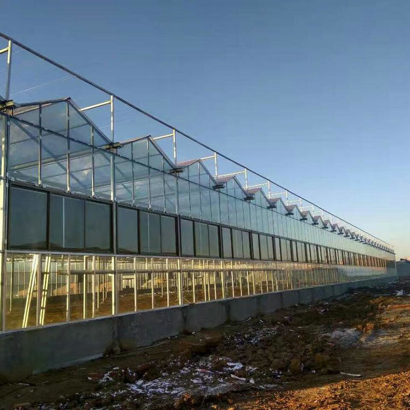 Large Prefabricated Outdoor And Indoor Backyard  Glass Greenhouse For Flower Growing