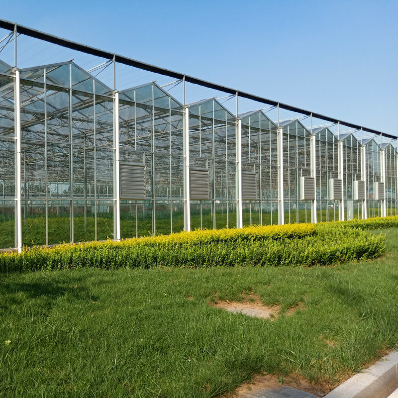 Wholesale China Supplier Large Multi Span Intelligent Horticulture Commercial Agriculture Glass Flower Greenhouse