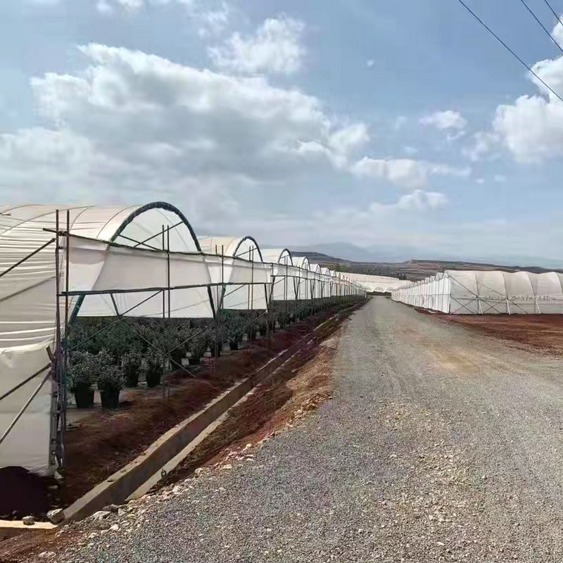 Diffused Plastic Tunnel Greenhouse 150 200 micron Berry Farm Planting Rain Shelter Green House strawberry